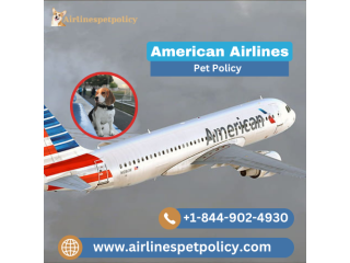 What is American Airlines Pet Policy? | Guide to Pet Flight Booking