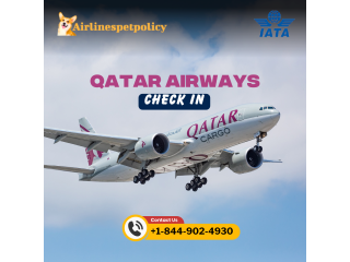 How to Check In Qatar Airways? | Fee | Time | Process