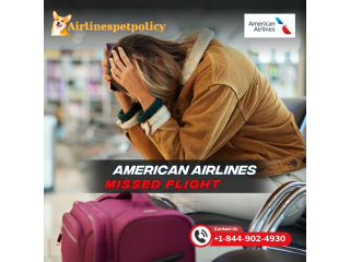 American Airlines Missed Flight Policy | Guide & Rebooking