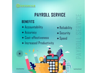Accurate and Efficient Payroll Services