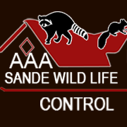 sande-wildlife-control-big-0