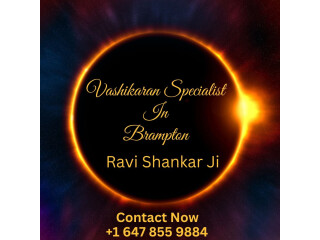 Want to know about Vedic astrology? Meet an Vashikaran specialist in Brampton.
