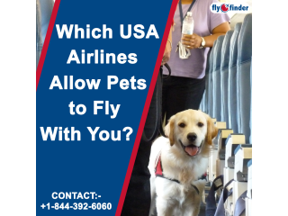 United Airlines Pet Reservations | Flyofinder