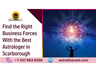 Find the Right Business Forces With the Best Astrologer in Scarborough