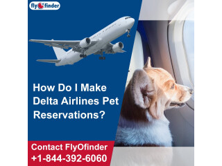 Delta International Pet Policy | Flyofinder