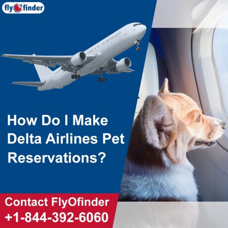 delta-international-pet-policy-flyofinder-big-0