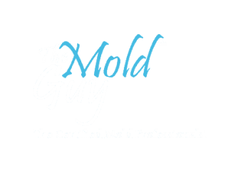 Mold Guy