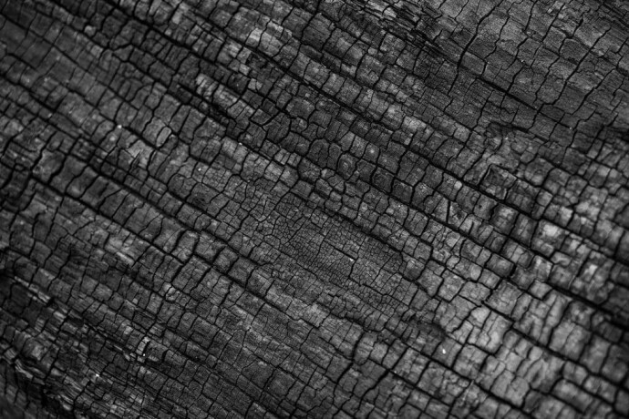 modernes-design-mit-zeitlosem-yakisugi-holz-berufung-big-0