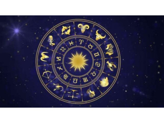 Who Is A Top Vedic Astrologer in London?