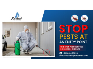 Mosquito Control Services in Chennai - Aavinashpestcontrol