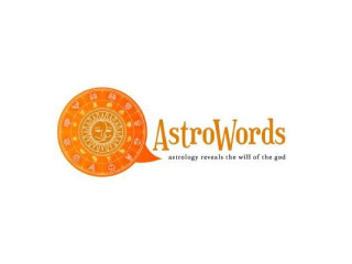 Professional Astrologers in Delhi