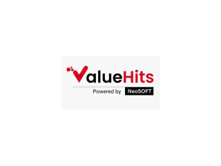 ValueHits: Providing Professional SEO Services For Business