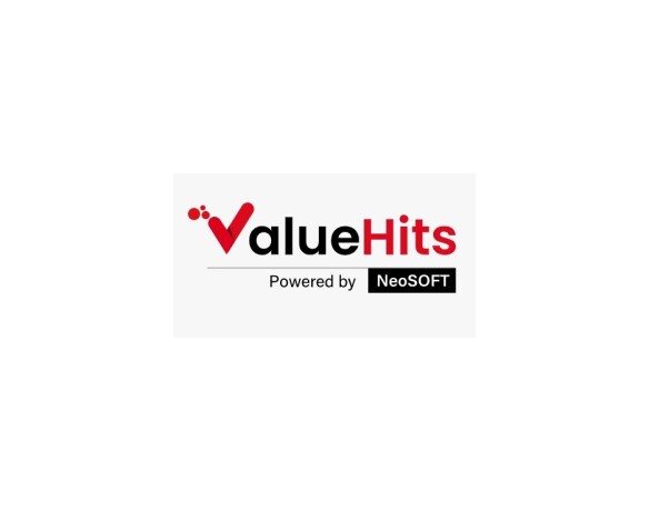 valuehits-providing-professional-seo-services-for-business-big-0
