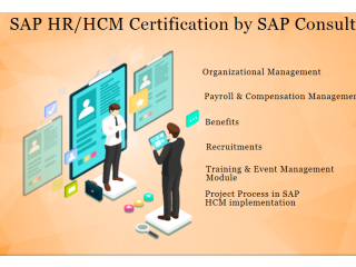Best SAP HR HCM Course in Laxmi Nagar, Pandav Nagar, SLA Institute, Best HR Generalist, HR Analytics Classes with 100% Job, Classroom Course,