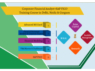 Financial Modeling Certification, 100% Financial Analyst Job, Salary Upto 6 LPA, SLA Consultants, and Delhi, Noida, Ghaziabad