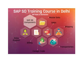 Online SAP SD Certification Course in Delhi, SLA Consultants, Best ERP Training Institute, 31Jan23 Offer, Free Data Analytics Course,
