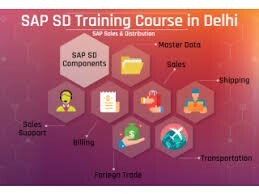 online-sap-sd-certification-course-in-delhi-sla-consultants-best-erp-training-institute-31jan23-offer-free-data-analytics-course-big-0