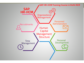 Best SAP HR HCM Training Certification, Delhi, SLA Institute for Human Resource Course, 100% Job, 31Jna 23 Offer,