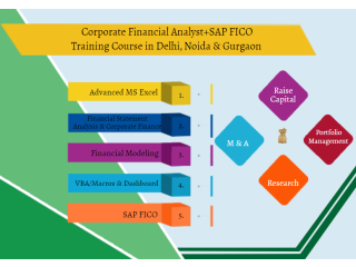 Financial Modeling Course in Delhi - Certification & Training - SLA Institute - Delhi & Online Certification Course, IIM Alumni Trainer, 100% Job,