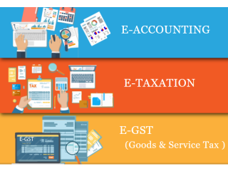Accounting Course in Shahdara, Delhi, SLA Taxation Classes, SAP FICO, Tally, GST Training Certification, Best Holi Offer