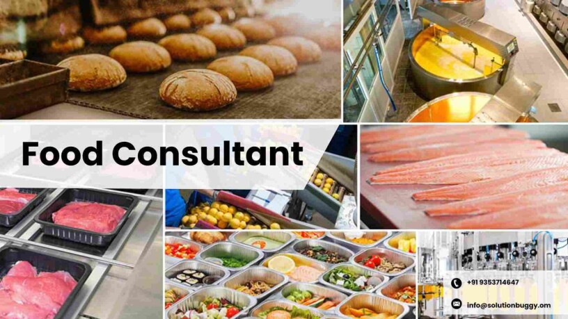food-consultants-in-india-big-1