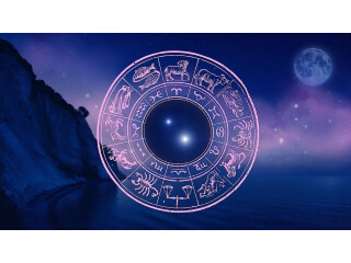 Legal Astrology Consultant