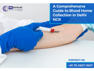 A Comprehensive Guide to Blood Home Collection in Delhi NCR