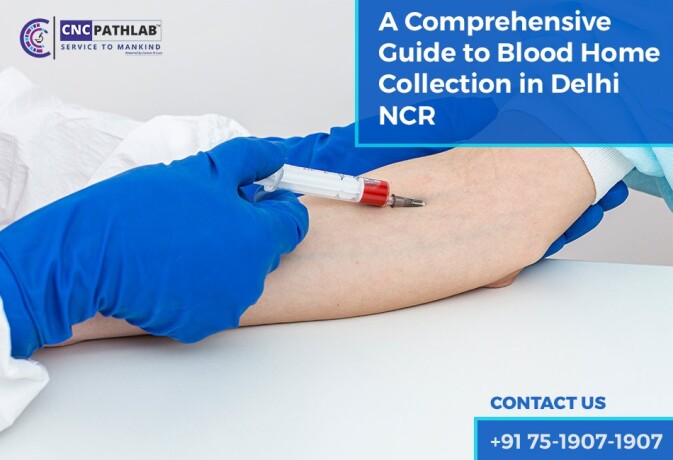 a-comprehensive-guide-to-blood-home-collection-in-delhi-ncr-big-0