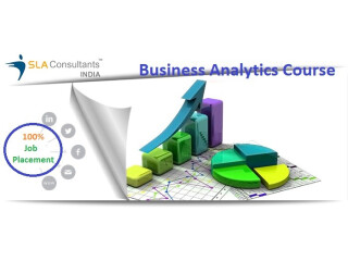Business Analyst Certification Course in Delhi with 100% Job at SLA Consultants India