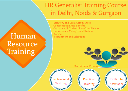 hr-generalist-training-institute-in-delhi-with-free-sap-hrhcm-hr-analytics-certification-100-job-placement-big-0