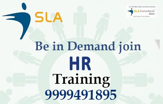 join-hr-training-course-in-delhi-with-best-salary-offer-by-sla-consultants-india-big-0