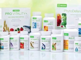 Longrich, Tiens, Edmark International, PayPal, Mannatech, QNET, Nature Renascence International, Norland, NEOLIFE SUPPLEMENTS