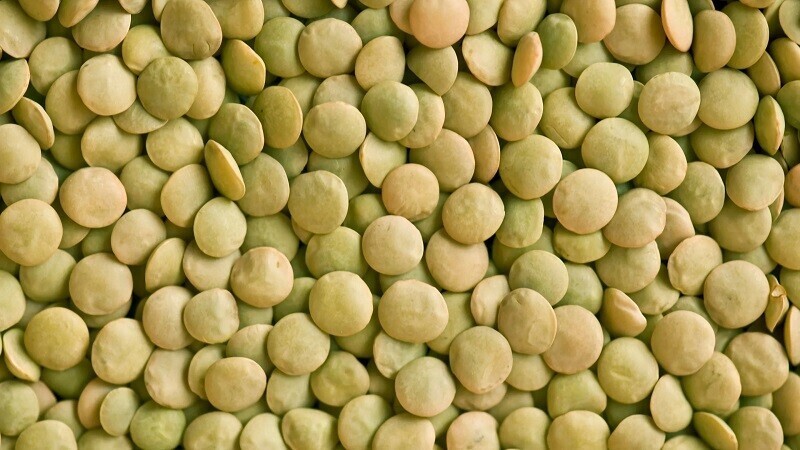 groene-linzen-groothandel-big-0