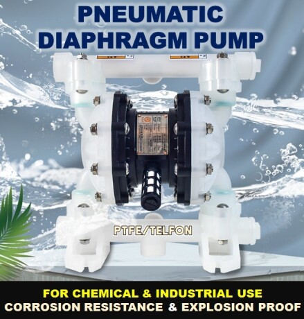 looking-for-a-diaphragm-pump-big-0