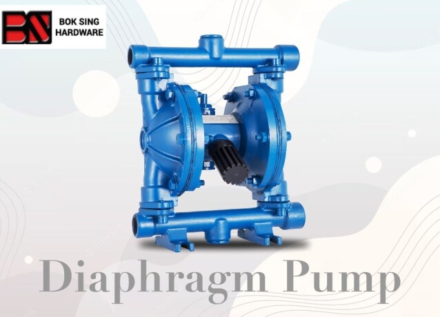 looking-for-a-diaphragm-pump-big-1