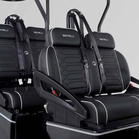 4-and-6-seat-golf-cart-rentals-for-ami-big-0