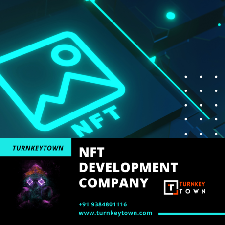get-a-fabulous-nft-development-services-curated-by-turnkeytown-big-0
