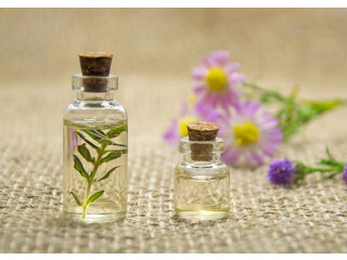 Know The Power Of Natural Fragrance With Natural Perfume Oils
