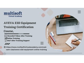 AVEVA E3D Equipment Training Certification Course,