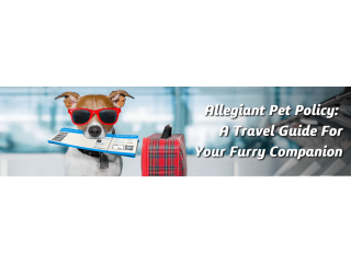 Allegiant airlines pet policy