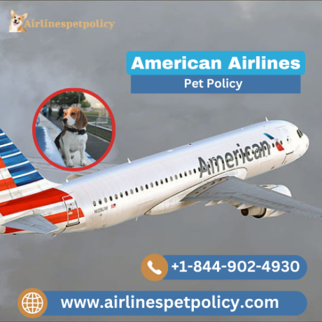 what-is-american-airlines-pet-policy-guide-to-pet-flight-booking-big-0
