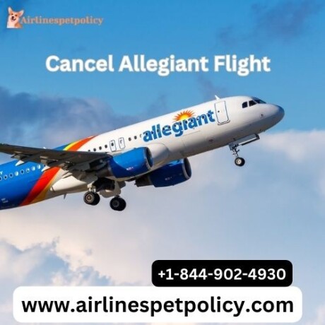 how-to-cancel-allegiant-flight-process-24-hour-policy-fee-big-0