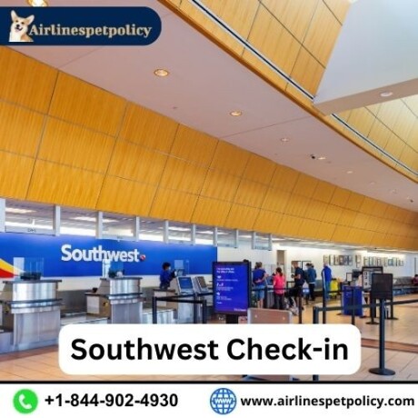 how-to-check-in-for-a-southwest-flight-big-0