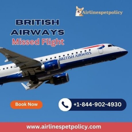what-happens-if-flight-missed-in-british-airways-big-0