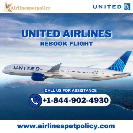 how-to-rebook-a-united-airlines-flight-process-24-hour-policy-fee-big-0