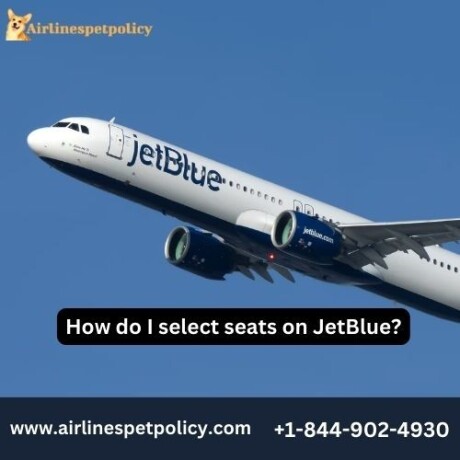 how-do-i-select-seats-on-jetblue-big-0