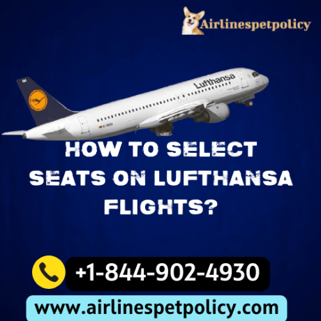 how-to-select-seats-on-lufthansa-flights-big-0