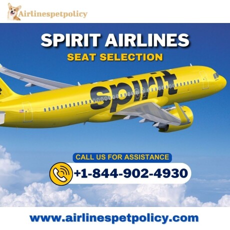 how-can-i-select-a-seat-on-spirit-airlines-big-0