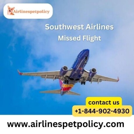 what-happens-if-you-miss-your-southwest-airlines-flight-big-0