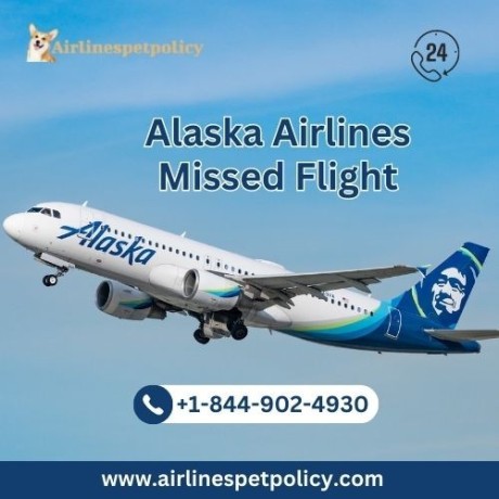 what-happens-if-you-miss-an-alaska-airlines-flight-big-0